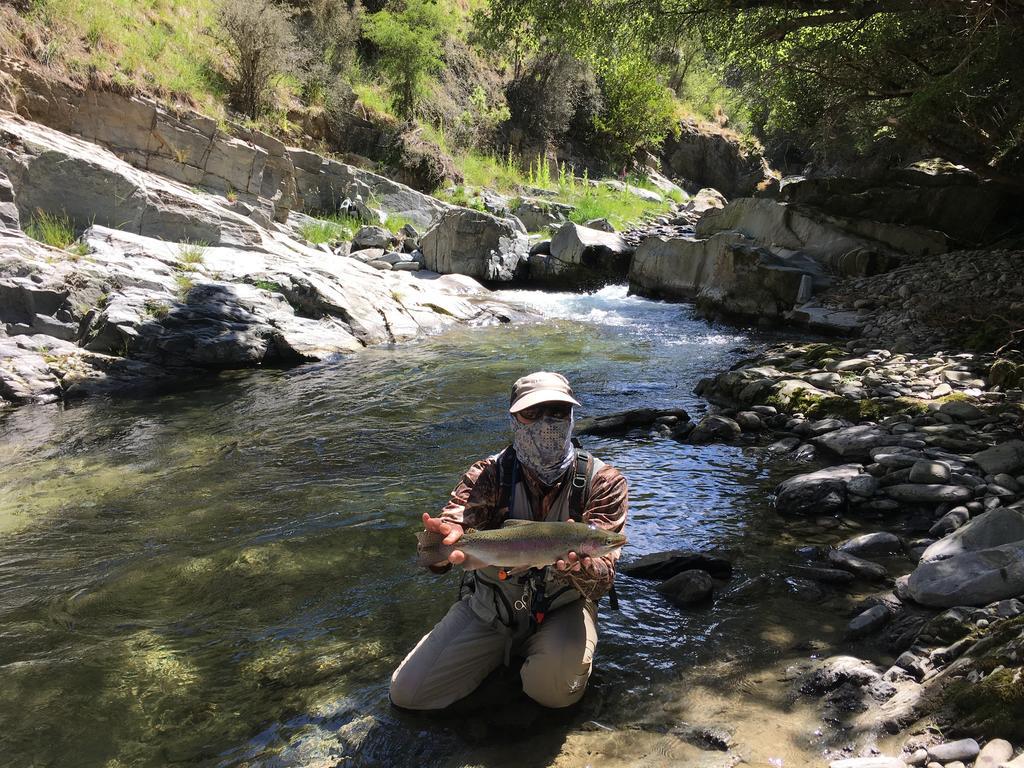 Glendeer Lodge Timaru Buitenkant foto